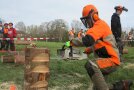 Mann schneidet mit einer Kettensäge einen Keil in einen Baum