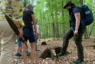 Einer Gruppe wird in einem Laubwald ein verrottender Holzstumpf gezeigt 
