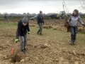 Frauen pflanzten einen Baum