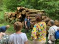 Einer Gruppe wird ein Holzpolter aus vielen Eichenstämmen von einer Försterin gezeigt 