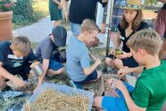 Schüler bauen ein Insektenhotel