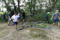 Mehrere Personen auf Wiese, dahinter Bäume