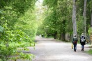 Forstweg mit Wald links und rechts, ganz hinten und weiter vorne rechts mit Personen