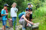 Eine Waldführerin zeigt vier Kindern ein Feucht-Biotop