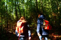 zwei Kinder mit Rucksäcken laufen von der Kamera weg durch den Wald