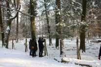 Das Wildschweingehege im Winter mit Schnee und Besucher, die dieses fotografieren
