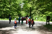 Kindergruppe mit einer Erwachsenen Person läuft auf Schotterweg