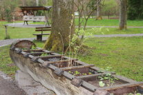 Beet mit essbaren Pflanzen, außen herum Wiese