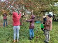 Personen pflücken Äpfel vom Baum