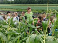 Erlebnis Bäuerin Pflügler steht mit der Schulklasse vor einem Maisfeld