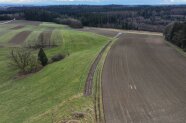 Hecke wird neu angelegt