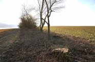 Hecke