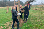 mehrere Personen stehen um einen Baum