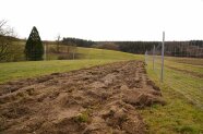Hecke wird neu angelegt
