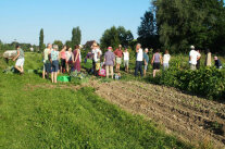 Personen stehen auf Feld