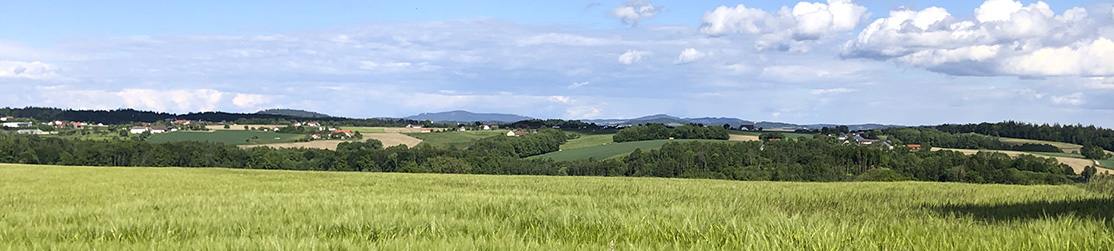 Feld vor Hügellandschaft