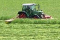 Traktor mit Mähwerk auf Wiese